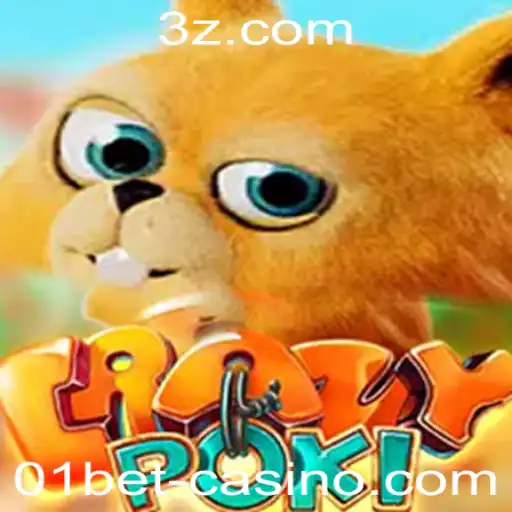CrazyPoki: Explorando as Dinâmicas e Regras do Jogo